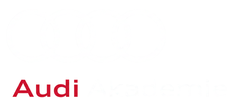 Audi Academy